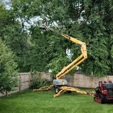 Mulching Services in Baltimore Highlands, MD
