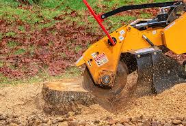 Best Lawn Pest Prevention  in Baltimore Highlands, MD